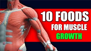 10 Muscle Building Foods for Strength and Growth [upl. by Ainoz758]