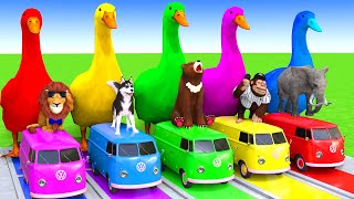 5 Giant Duck CartoonCowElephantTigerLionDinosaurPaint Wild Animals Crossing Fountain Animation [upl. by Mellisent]