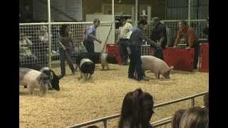 Walter Gerlach Livestock Show 2012 [upl. by Nolra]