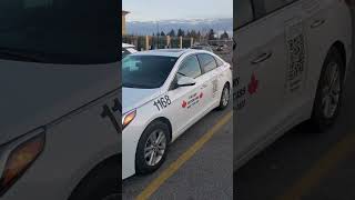 Calgary United Cabs taxicabservice cabs canada shorts calgaryunitedcabs taxi [upl. by Derek]