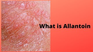 What is Allantoin [upl. by Matejka]