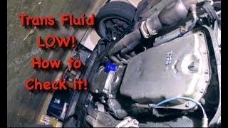 Transmission Fluid Low How to check a 6L80 transmission fluid [upl. by Coonan]