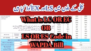 What is LS and EX codes in electricity bill after pro rata consumption  LS code and Ex code [upl. by Agem323]