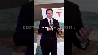 CEO Elon Musk End Hopes For A 25K Tesla [upl. by Anileuqcaj625]