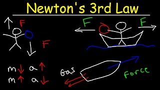 Newtons Third Law of Motion  Action and Reaction Forces [upl. by Ameyn]