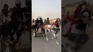 🔴10MIL PROBLEM 🐎CAPITAINE WA LI NEKH NA WAY😍😱🐎cavallo horse senegal racing [upl. by Ecinrev914]