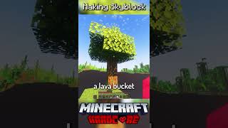 I Made Skyblock in Minecraft Hardcore 22 [upl. by Nedyah]