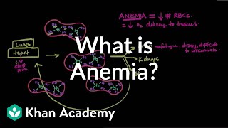 What is anemia  Hematologic System Diseases  NCLEXRN  Khan Academy [upl. by Iam452]