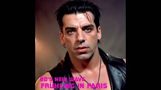 1980s New Wave  Rammstein  Frühling In Paris [upl. by Flowers]