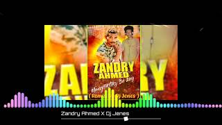 Zandry Ahmed X Dj Jenes  🎹🎧 Mangilikitiky Be zay 🎹🎧  Remix By Dj Jenes Dago 🔥💥 [upl. by Saravat152]