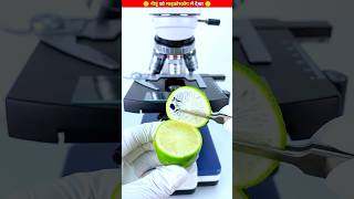 🔴Bergamot under the Microscope 🧐 [upl. by Nnawtna]