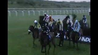 Horse Racing Death 229  Ugo at Ffos Las Racecourse [upl. by Titania]