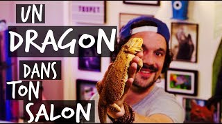 MON PREMIER LEZARD  UN DRAGON DANS TON SALON  TOOPET [upl. by Juliann]