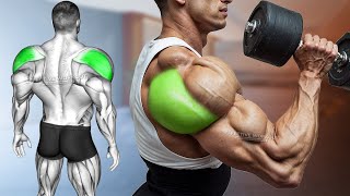 5 Best Rear Delt Exercise DUMBBELL ONLY [upl. by Blus]