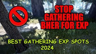 BEST GATHERING EXP SPOTS  Black desert online [upl. by Haeli660]