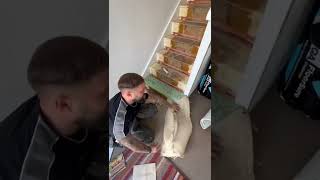 HOW TO REMOVE CARPET FROM BOTTOM BULLNOSE STAIR carpet stairs flooring shorts homeimprovement [upl. by Maighdlin708]