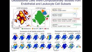 SingleCell Phosphoprotein Analysis with CyTOF [upl. by Oinotna]