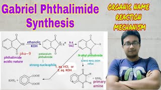 Gabriel Phthalimide Synthesis  organic name reaction mechanism Gabriel phthalimide trick  IIT JEE [upl. by Ryun966]