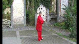 Ecole de Taijiquan Eric Caulier forme de sabre 13 postures [upl. by Nelleoj944]