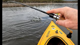 Lake Bellfield Grampians XL Rainbow Trout [upl. by Fai833]