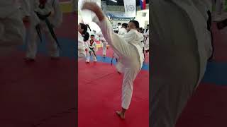 POOMSAE TRAINING WITH KOREAN MASTER 2 [upl. by Ladnik]