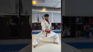 OHAN KATA TRAINING ENDING SECTION [upl. by Greenburg813]