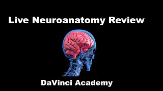 Live Neuroanatomy Review [upl. by Templia415]