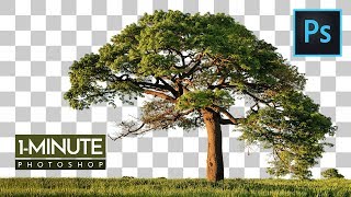 1Minute Photoshop  How to Cut Out Tree in Photoshop [upl. by Mellicent]