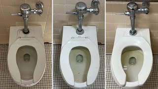 Three 2000s American Standard Afwall Toilets [upl. by Olympium]