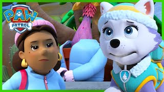 Everest et Rocky sauvent la serre et les plantes exotiques  PAW Patrol dessins animés pour enfants [upl. by Airpac]