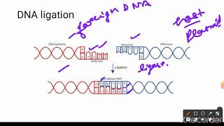 Molecular cloning of DNA or RNA fragments in bacterial and eukaryotic system part 1 [upl. by Flint]