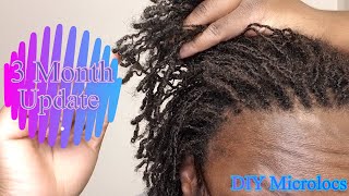 DIY Microlocs  3 Month Update  Loc Journey  Interlocks [upl. by Clarise]