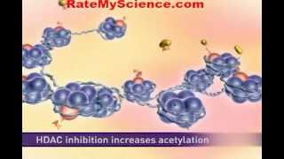 Histone acetylation and cancer Rate My Science [upl. by Nole]