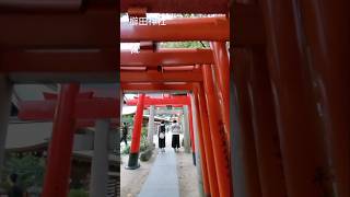 櫛田神社 福岡自由行 [upl. by Osicnarf141]