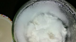 Culture de blanc de champignon sur riz bio depuis une culture de mycélium en boite de pétri [upl. by Hayilaa]