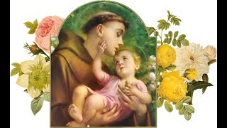 വിശുദ്‌ധ അന്തോണിസ് നൊവേന കലൂർ St Anthony’s Novena Kaloor Malayalam [upl. by Venita]