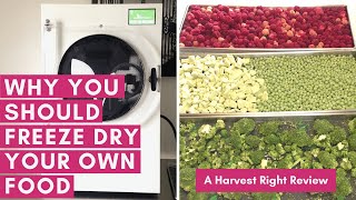 Why You Should Freeze Dry Your Own Food  A Harvest Right Freeze Dryer Review [upl. by Enelrahs]