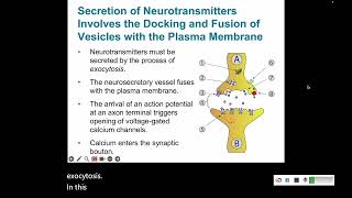 Signal Transduction 8 Synaptic Transmission and Signal Integration [upl. by Geerts930]