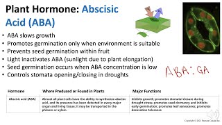 Plant Hormones Abscisic Acid  Biology [upl. by Eustis]