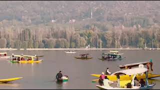 DAL LAKE KASHMIR [upl. by Dinnage167]