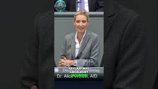 🚨 Alice Weidel Chemnitz – Mörder und das Asylsystem – Die erschütternde Wahrheit 😱🇩🇪 [upl. by Eiramave]