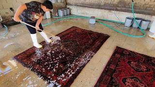 Carpet cleaning asmr compilation  Rugs cleaning satisfying [upl. by Anircam]