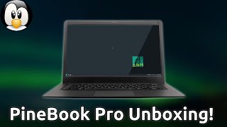 PineBook Pro Unboxing and First Impressions [upl. by Eycats]