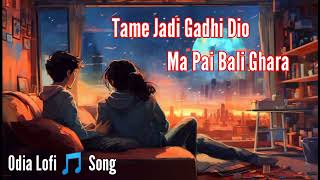 Odia Lofi Song Tame jadi godhi dio mo pai Bali Ghara odia romantick song [upl. by Aloin]