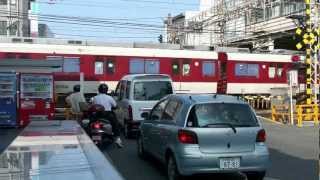 Kintetsu Takayasu Crazy Railway Crossing  experimentations [upl. by Henrieta]