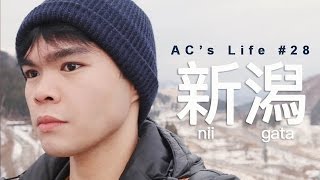 ACs Life Niigata [upl. by Cunningham]