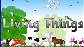 Living things activity 💫performed by Nursery Class ✨Clear the Concept of your child 😇Subscribe [upl. by Yecart]