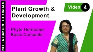 Plant Growth amp Development  NEET  Phyto Hormones  Basic Concepts  Neela Bakore Tutorials [upl. by Irrak]