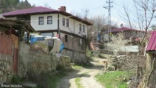 Köy de ilkbahar havası kuş sesleri çiçekler doğal hayat [upl. by Neelhtak]