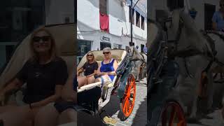 Charming Mijas Pueblo HorseDrawn Carriage Tour Through Andalusia [upl. by Wincer]